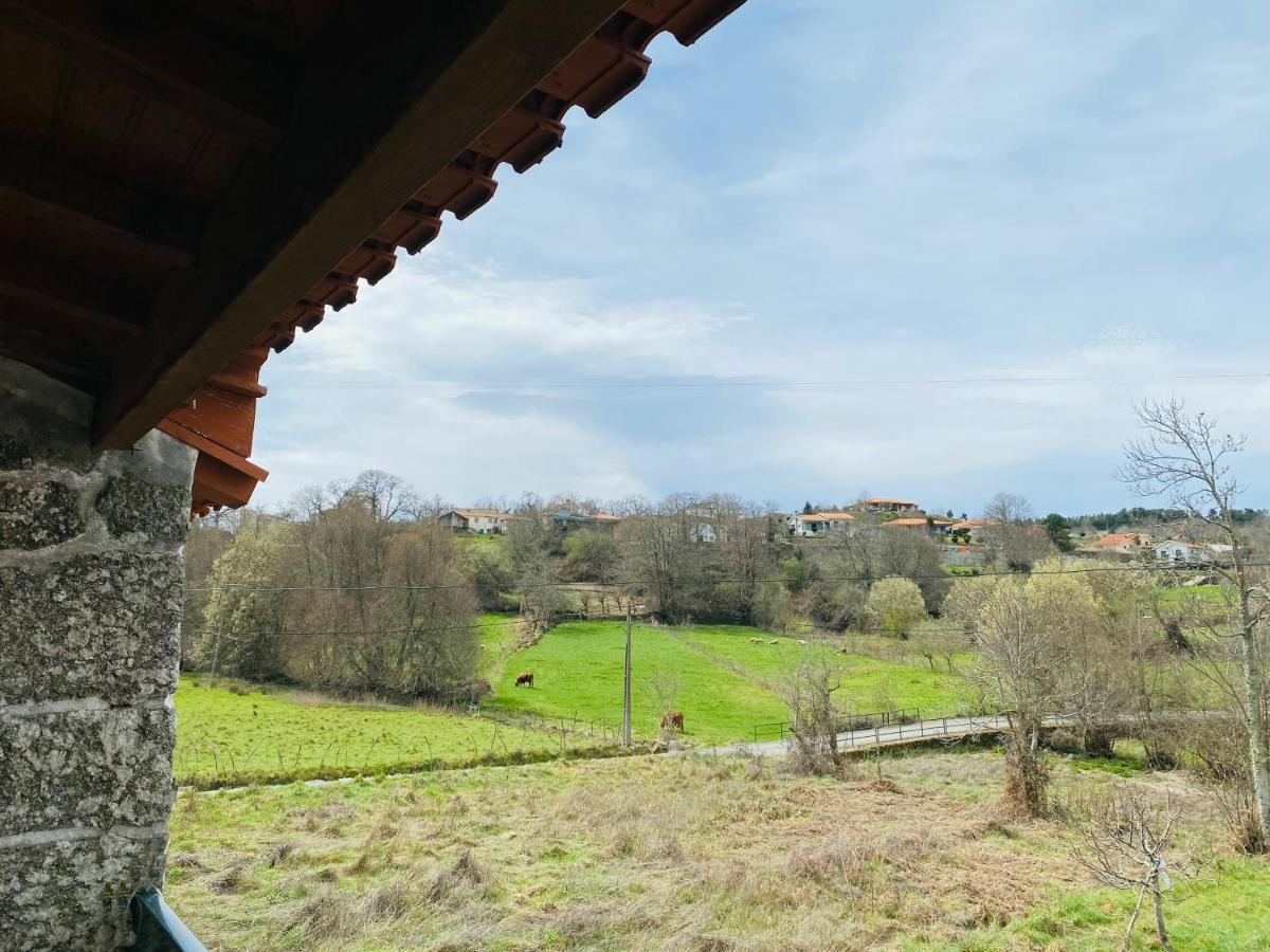 Casinha Da Ti'Augusta Villa Lamego Dış mekan fotoğraf